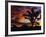 Spectacular Sunrise at Joshua Tree National Park, California, USA-Chuck Haney-Framed Photographic Print