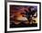 Spectacular Sunrise at Joshua Tree National Park, California, USA-Chuck Haney-Framed Photographic Print