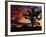 Spectacular Sunrise at Joshua Tree National Park, California, USA-Chuck Haney-Framed Photographic Print