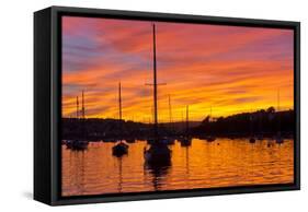 Spectacular Sunset, Falmouth Harbour, Cornwall, England, United Kingdom, Europe-Peter Groenendijk-Framed Stretched Canvas