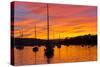 Spectacular Sunset, Falmouth Harbour, Cornwall, England, United Kingdom, Europe-Peter Groenendijk-Stretched Canvas