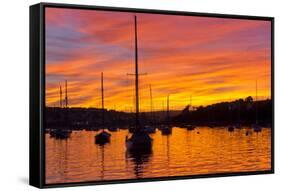 Spectacular Sunset, Falmouth Harbour, Cornwall, England, United Kingdom, Europe-Peter Groenendijk-Framed Stretched Canvas