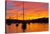 Spectacular Sunset, Falmouth Harbour, Cornwall, England, United Kingdom, Europe-Peter Groenendijk-Stretched Canvas