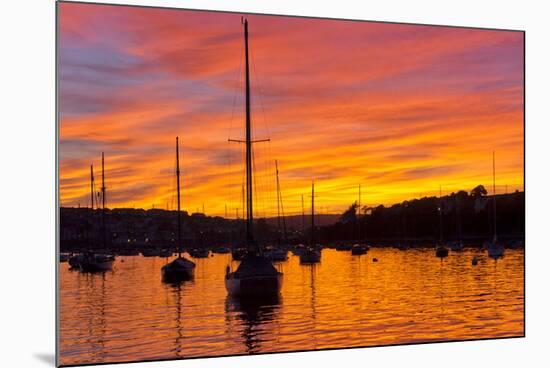 Spectacular Sunset, Falmouth Harbour, Cornwall, England, United Kingdom, Europe-Peter Groenendijk-Mounted Photographic Print