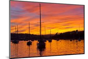 Spectacular Sunset, Falmouth Harbour, Cornwall, England, United Kingdom, Europe-Peter Groenendijk-Mounted Photographic Print