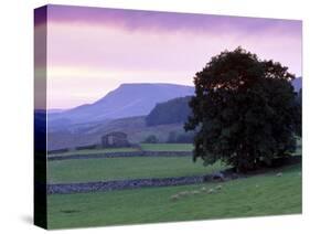 Spectacular Sunset Near Hardraw in Wensleydale, Yorkshire Dales National Park, Yorkshire, England-Patrick Dieudonne-Stretched Canvas