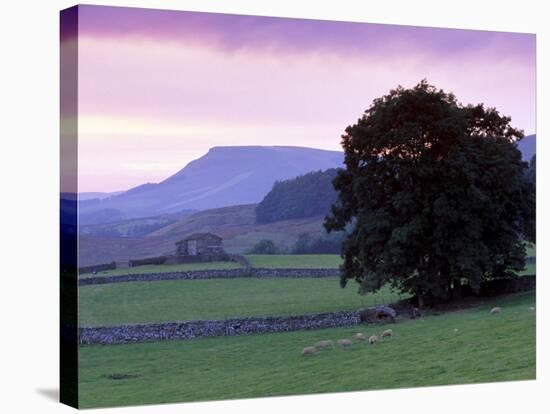 Spectacular Sunset Near Hardraw in Wensleydale, Yorkshire Dales National Park, Yorkshire, England-Patrick Dieudonne-Stretched Canvas