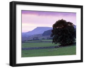 Spectacular Sunset Near Hardraw in Wensleydale, Yorkshire Dales National Park, Yorkshire, England-Patrick Dieudonne-Framed Photographic Print