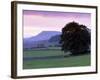 Spectacular Sunset Near Hardraw in Wensleydale, Yorkshire Dales National Park, Yorkshire, England-Patrick Dieudonne-Framed Photographic Print