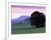 Spectacular Sunset Near Hardraw in Wensleydale, Yorkshire Dales National Park, Yorkshire, England-Patrick Dieudonne-Framed Photographic Print