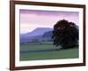 Spectacular Sunset Near Hardraw in Wensleydale, Yorkshire Dales National Park, Yorkshire, England-Patrick Dieudonne-Framed Photographic Print