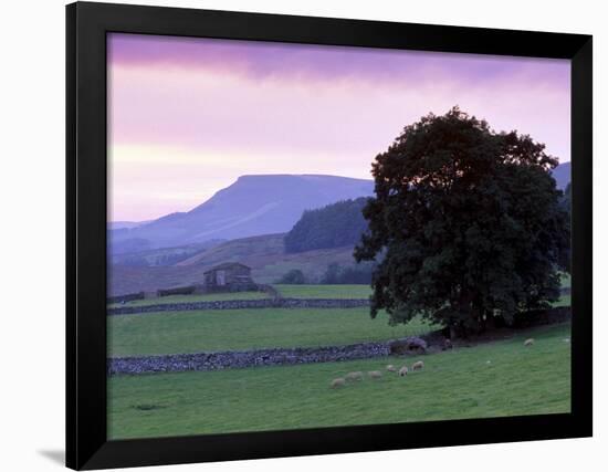 Spectacular Sunset Near Hardraw in Wensleydale, Yorkshire Dales National Park, Yorkshire, England-Patrick Dieudonne-Framed Photographic Print