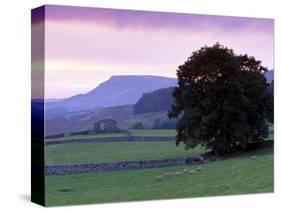 Spectacular Sunset Near Hardraw in Wensleydale, Yorkshire Dales National Park, Yorkshire, England-Patrick Dieudonne-Stretched Canvas