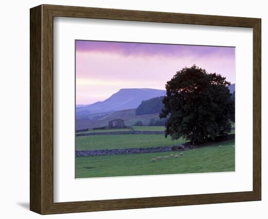 Spectacular Sunset Near Hardraw in Wensleydale, Yorkshire Dales National Park, Yorkshire, England-Patrick Dieudonne-Framed Photographic Print