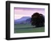 Spectacular Sunset Near Hardraw in Wensleydale, Yorkshire Dales National Park, Yorkshire, England-Patrick Dieudonne-Framed Photographic Print