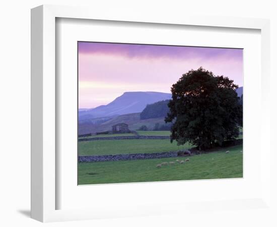 Spectacular Sunset Near Hardraw in Wensleydale, Yorkshire Dales National Park, Yorkshire, England-Patrick Dieudonne-Framed Photographic Print