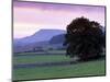Spectacular Sunset Near Hardraw in Wensleydale, Yorkshire Dales National Park, Yorkshire, England-Patrick Dieudonne-Mounted Photographic Print