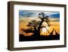 Spectacular Sunset with Baobab and Giraffe on African Savannah-SW_Stock-Framed Photographic Print