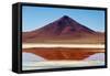 Spectacular view of Laguna Colorada, Reserva Eduardo Avaroa, Bolivian desert, Bolivia-Anthony Asael-Framed Stretched Canvas