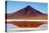 Spectacular view of Laguna Colorada, Reserva Eduardo Avaroa, Bolivian desert, Bolivia-Anthony Asael-Stretched Canvas