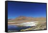 Spectacular view of Laguna Colorada, Reserva Eduardo Avaroa, Bolivian desert, Bolivia-Anthony Asael-Framed Stretched Canvas