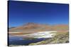 Spectacular view of Laguna Colorada, Reserva Eduardo Avaroa, Bolivian desert, Bolivia-Anthony Asael-Stretched Canvas