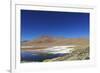 Spectacular view of Laguna Colorada, Reserva Eduardo Avaroa, Bolivian desert, Bolivia-Anthony Asael-Framed Photographic Print