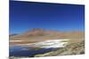 Spectacular view of Laguna Colorada, Reserva Eduardo Avaroa, Bolivian desert, Bolivia-Anthony Asael-Mounted Photographic Print
