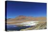 Spectacular view of Laguna Colorada, Reserva Eduardo Avaroa, Bolivian desert, Bolivia-Anthony Asael-Stretched Canvas