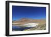 Spectacular view of Laguna Colorada, Reserva Eduardo Avaroa, Bolivian desert, Bolivia-Anthony Asael-Framed Photographic Print