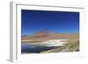 Spectacular view of Laguna Colorada, Reserva Eduardo Avaroa, Bolivian desert, Bolivia-Anthony Asael-Framed Photographic Print