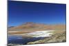 Spectacular view of Laguna Colorada, Reserva Eduardo Avaroa, Bolivian desert, Bolivia-Anthony Asael-Mounted Photographic Print