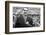 Spectators at the Minnesota- Iowa Game, Minneapolis, Minnesota, November 1960-Francis Miller-Framed Photographic Print