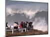 Spectators Line the Bluff at La Jolla Cove to Get a Good Look at the Large Surf in San Diego-null-Mounted Photographic Print