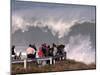 Spectators Line the Bluff at La Jolla Cove to Get a Good Look at the Large Surf in San Diego-null-Mounted Photographic Print