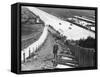 Spectators Watching Motor Racing from the Test Hill, Brooklands, Surrey, (1920S)-null-Framed Stretched Canvas