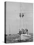 Spectators Watching the America's Cup on a Sailing Boat-Peter Stackpole-Stretched Canvas