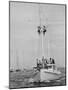 Spectators Watching the America's Cup on a Sailing Boat-Peter Stackpole-Mounted Photographic Print