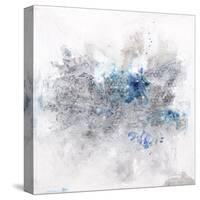 Spector In Blue-Joshua Schicker-Stretched Canvas