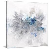 Spector In Blue-Joshua Schicker-Stretched Canvas