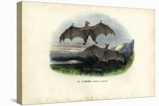 Spectral Bat, 1863-79-Raimundo Petraroja-Stretched Canvas