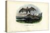 Spectral Bat, 1863-79-Raimundo Petraroja-Stretched Canvas