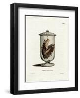 Spectral Bat-null-Framed Giclee Print