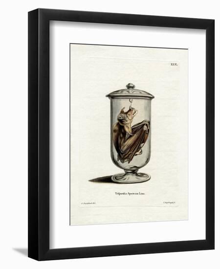 Spectral Bat-null-Framed Giclee Print