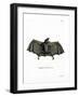 Spectral Bat-null-Framed Giclee Print