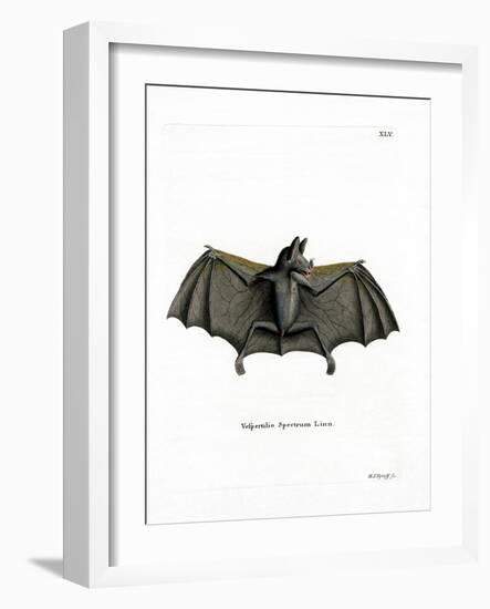 Spectral Bat-null-Framed Giclee Print