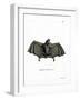 Spectral Bat-null-Framed Giclee Print