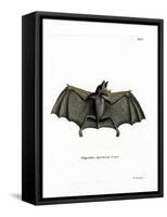 Spectral Bat-null-Framed Stretched Canvas