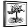 Spectroscope, 19th Century Artwork-Science Photo Library-Framed Photographic Print