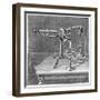 Spectroscopic Apparatus Used by Robert Wilhelm Bunsen and Gustav Robert Kirchhoff, C1895-null-Framed Giclee Print